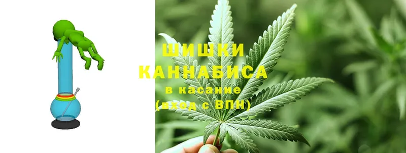 Конопля OG Kush  Починок 